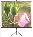 tripod screen bandung,layar tripod bandung,katalog produk screen,portable tripod screen,harga tripod screen,jual tripod screen,Layar Tripod Datalite